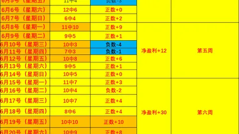 雪缘园足球比分 131341